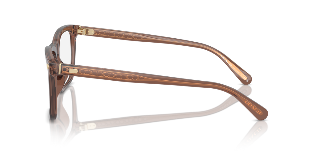 Coach HC6238U Square Eyeglasses - Transparent Pecan