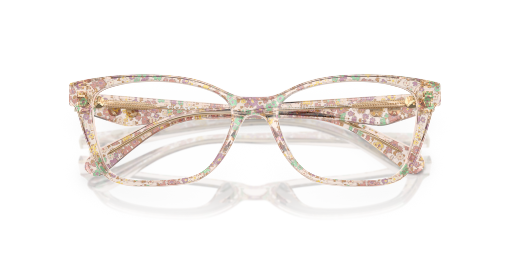 Coach HC6248U Cat Eye Eyeglasses - Transparent Floral Field