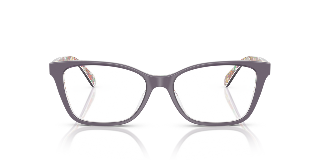 Coach HC6248U Cat Eye Eyeglasses - Transparent Floral Field