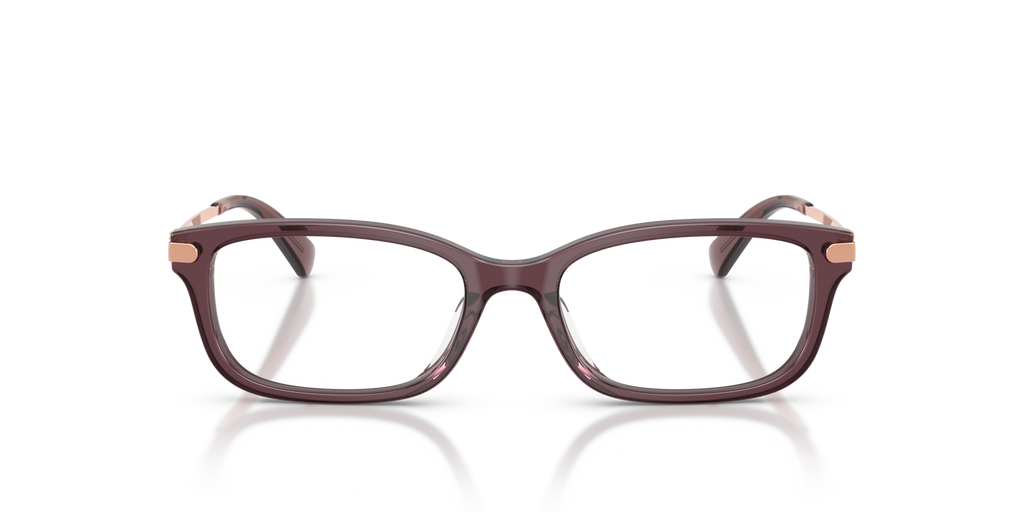 Coach HC6287U Rectangle Eyeglasses - Transparent Champagne