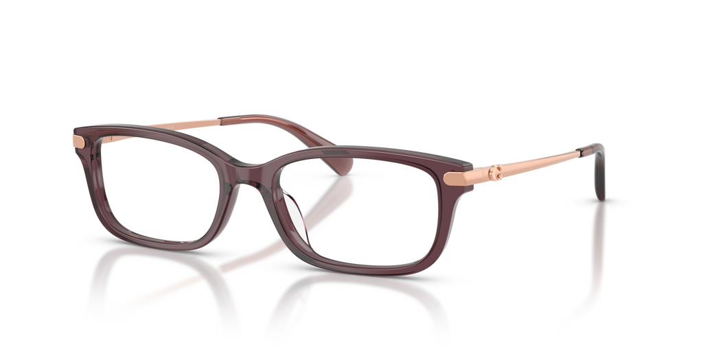 Coach HC6287U Rectangle Eyeglasses - Transparent Iris