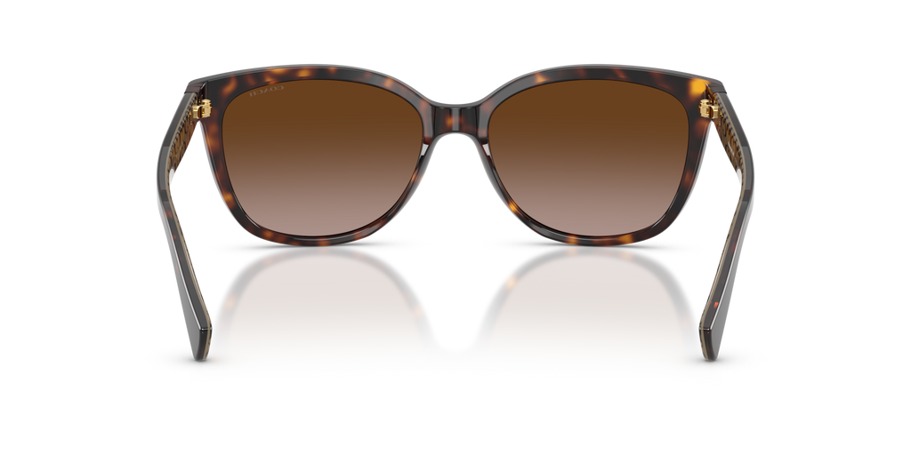Coach HC8132 L109 Cat Eye Sunglasses