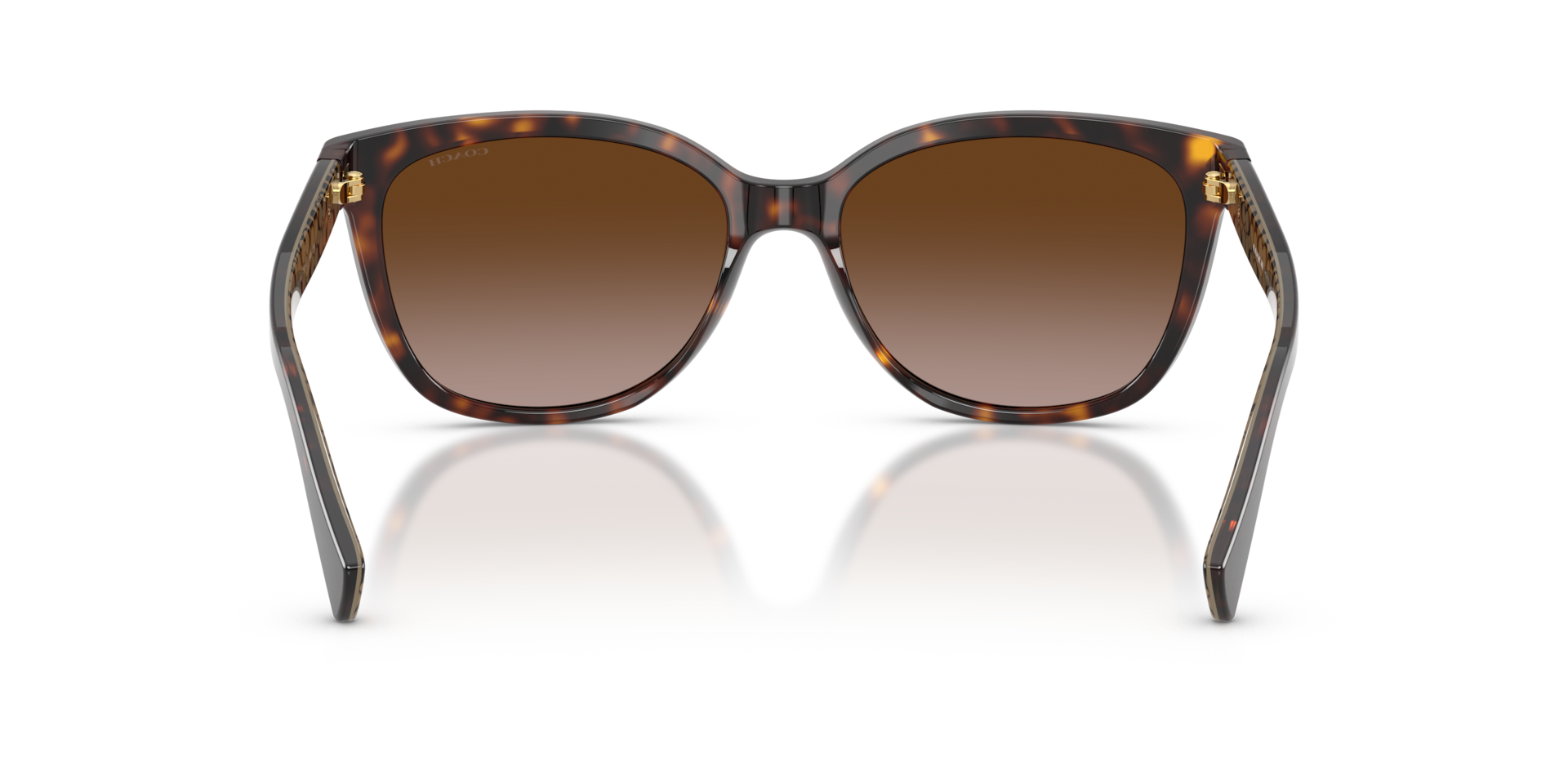 Coach HC8132 L109 Cat Eye Sunglasses
