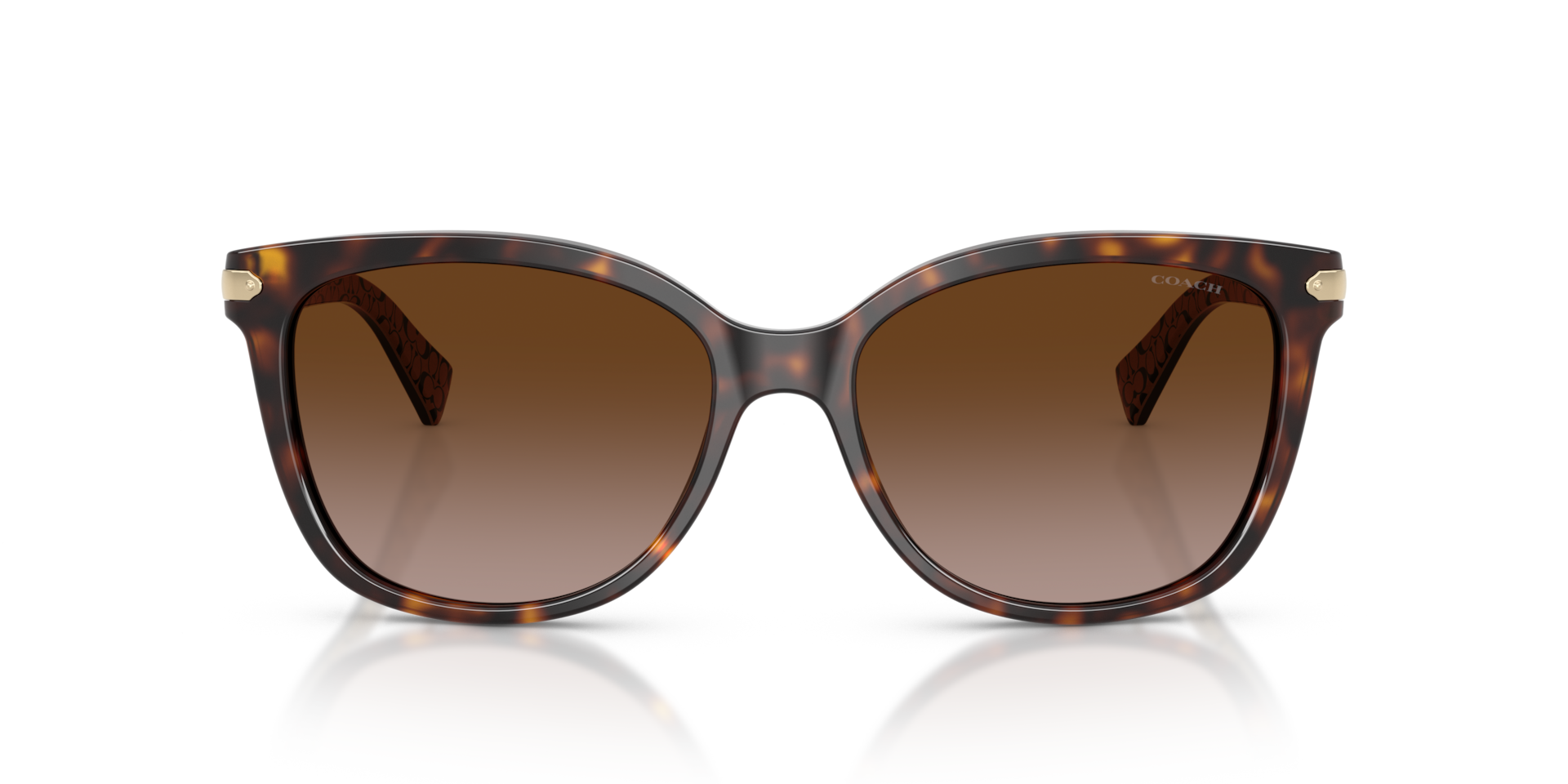 Coach HC8132 L109 Cat Eye Sunglasses