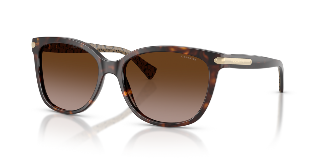 Coach HC8132 L109 Cat Eye Sunglasses