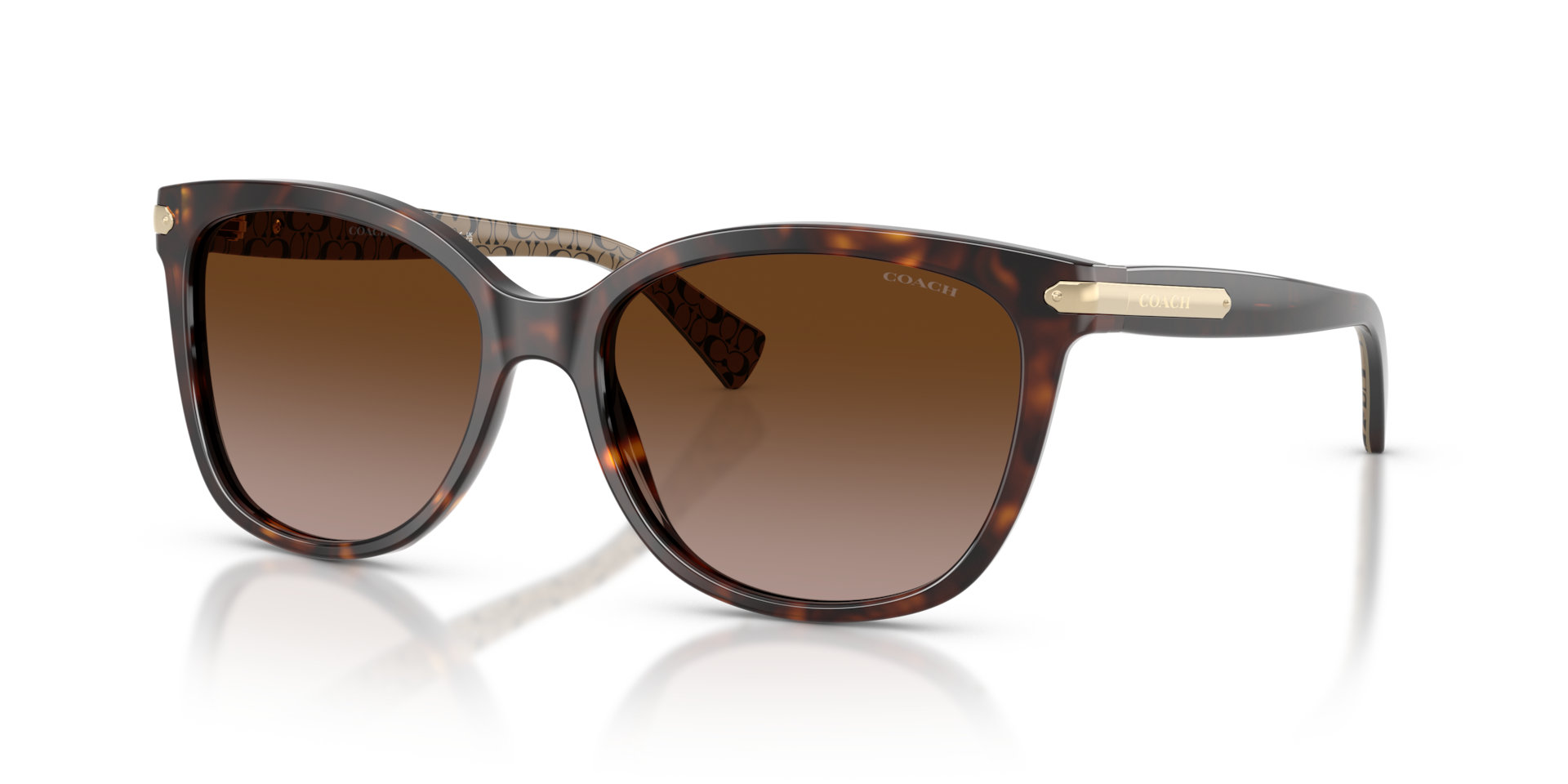Coach HC8132 L109 Cat Eye Sunglasses