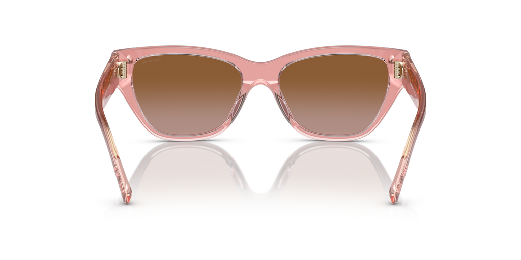 Coach HC8370U CH570 Cat Eye Sunglasses