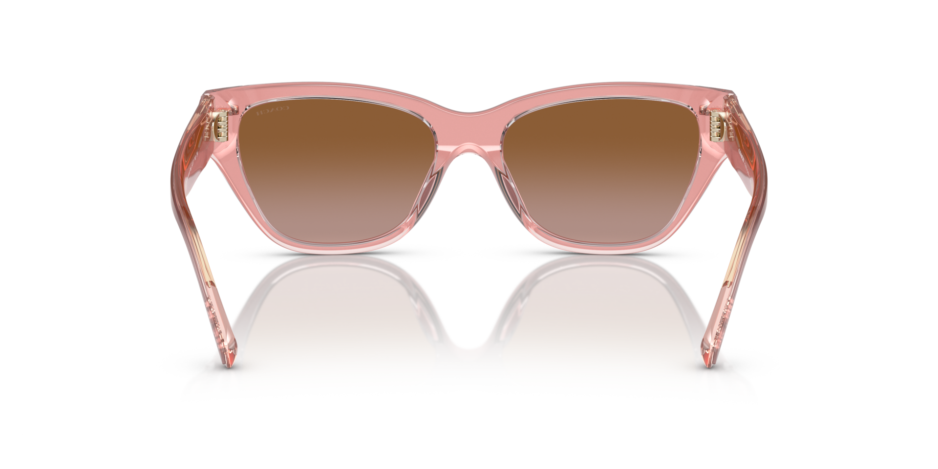 Coach HC8370U CH570 Cat Eye Sunglasses