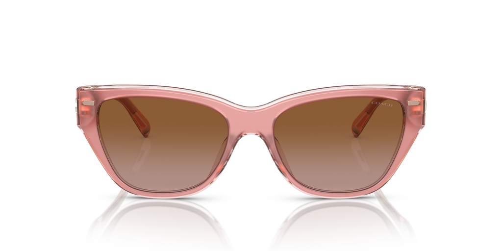Coach HC8370U CH570 Cat Eye Sunglasses