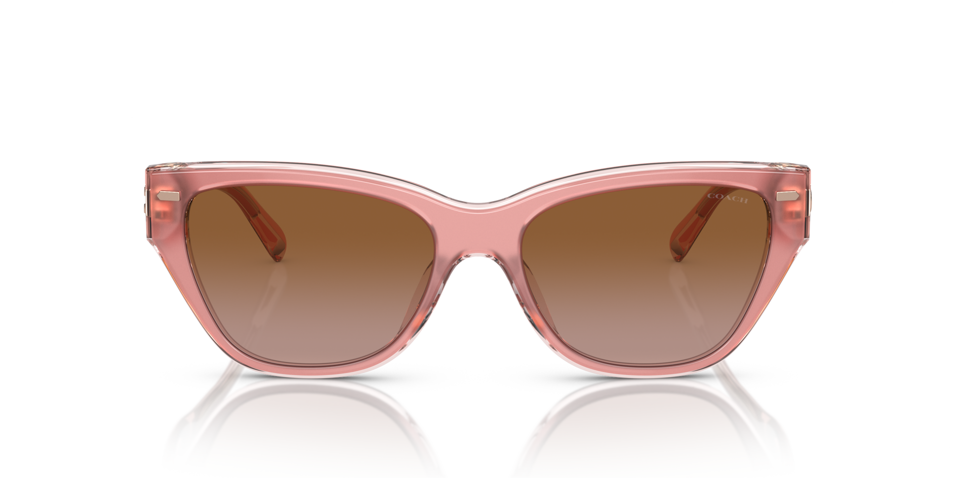 Coach HC8370U CH570 Cat Eye Sunglasses