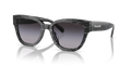 Coach HC8379U CL920 Butterfly Sunglasses - Grey Pearl Signature C