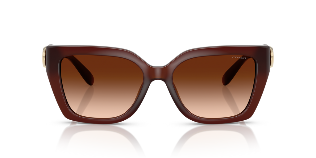 Coach HC8408U CW195 Square Sunglasses - Milky Hazelnut
