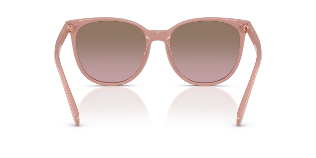 Coach HC8414BD CW428 Round Sunglasses - Milky Buff