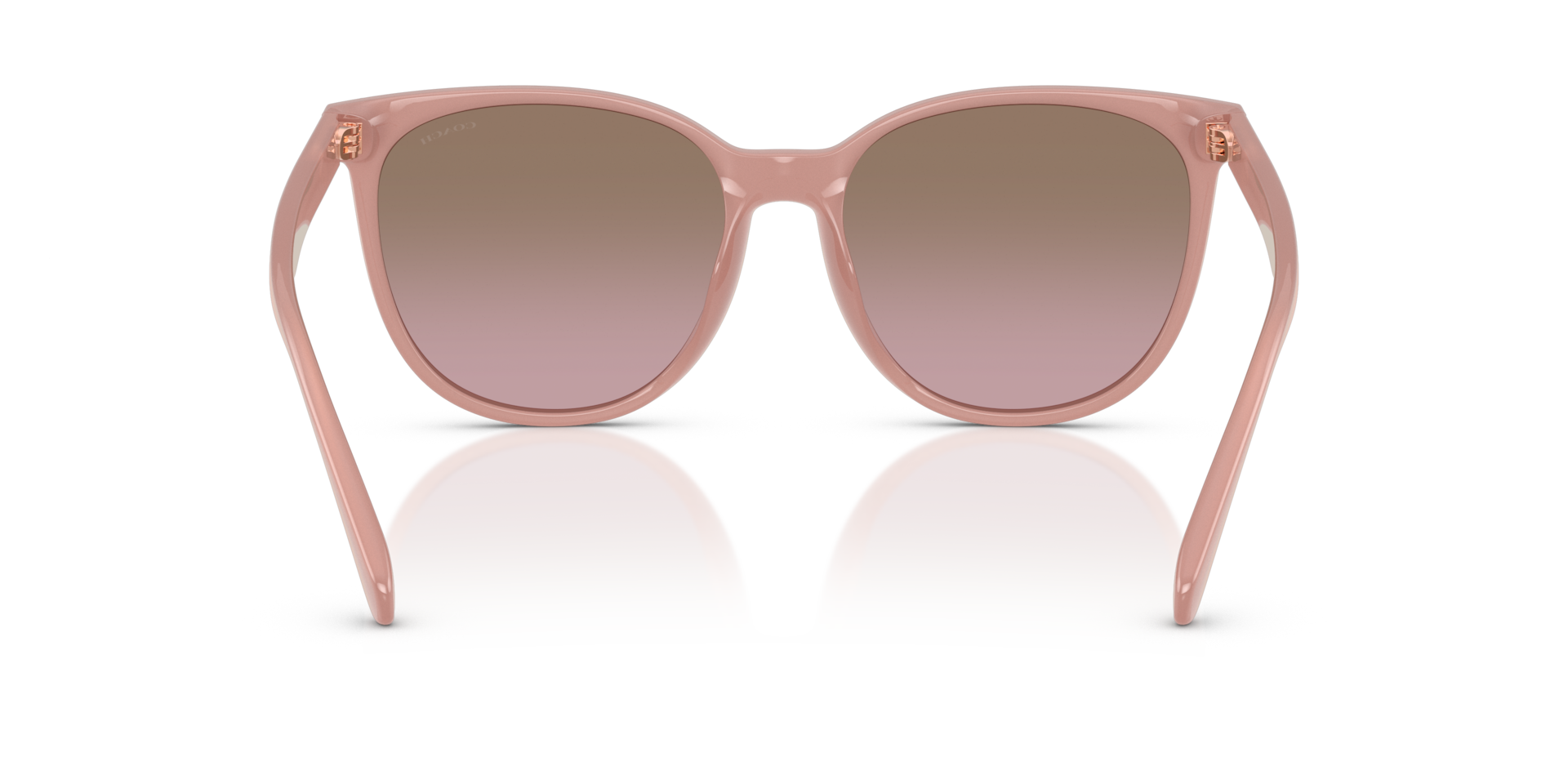 Coach HC8414BD CW428 Round Sunglasses - Milky Buff