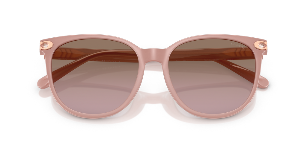 Coach HC8414BD CW428 Round Sunglasses - Milky Amber