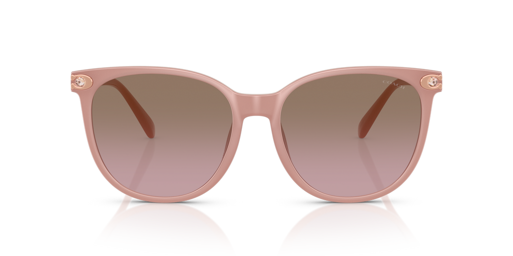 Coach HC8414BD CW428 Round Sunglasses - Milky Buff