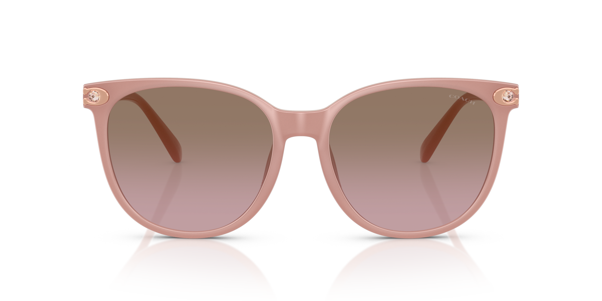 Coach HC8414BD CW428 Round Sunglasses - Milky Buff