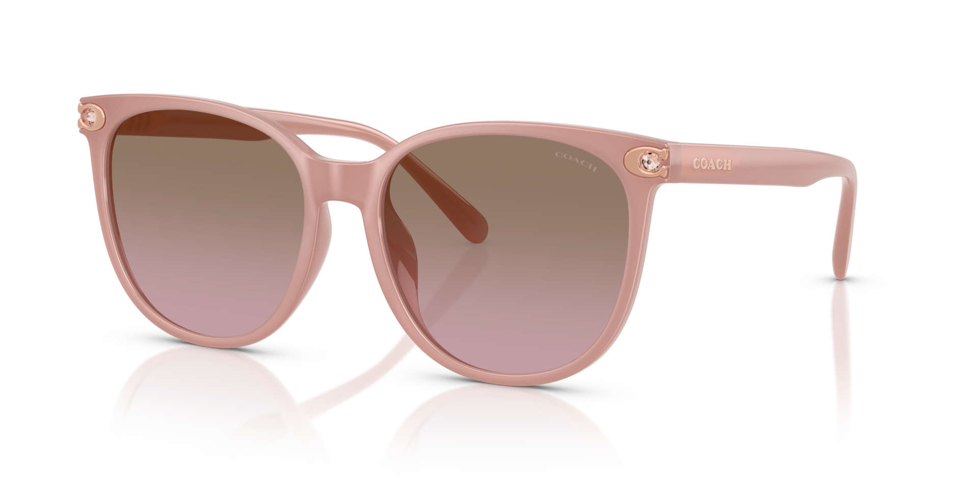 Coach HC8414BD CW428 Round Sunglasses - Milky Buff