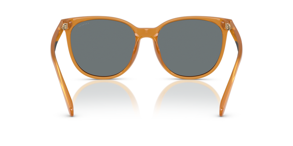 Coach HC8414BD CW428 Round Sunglasses - Milky Buff