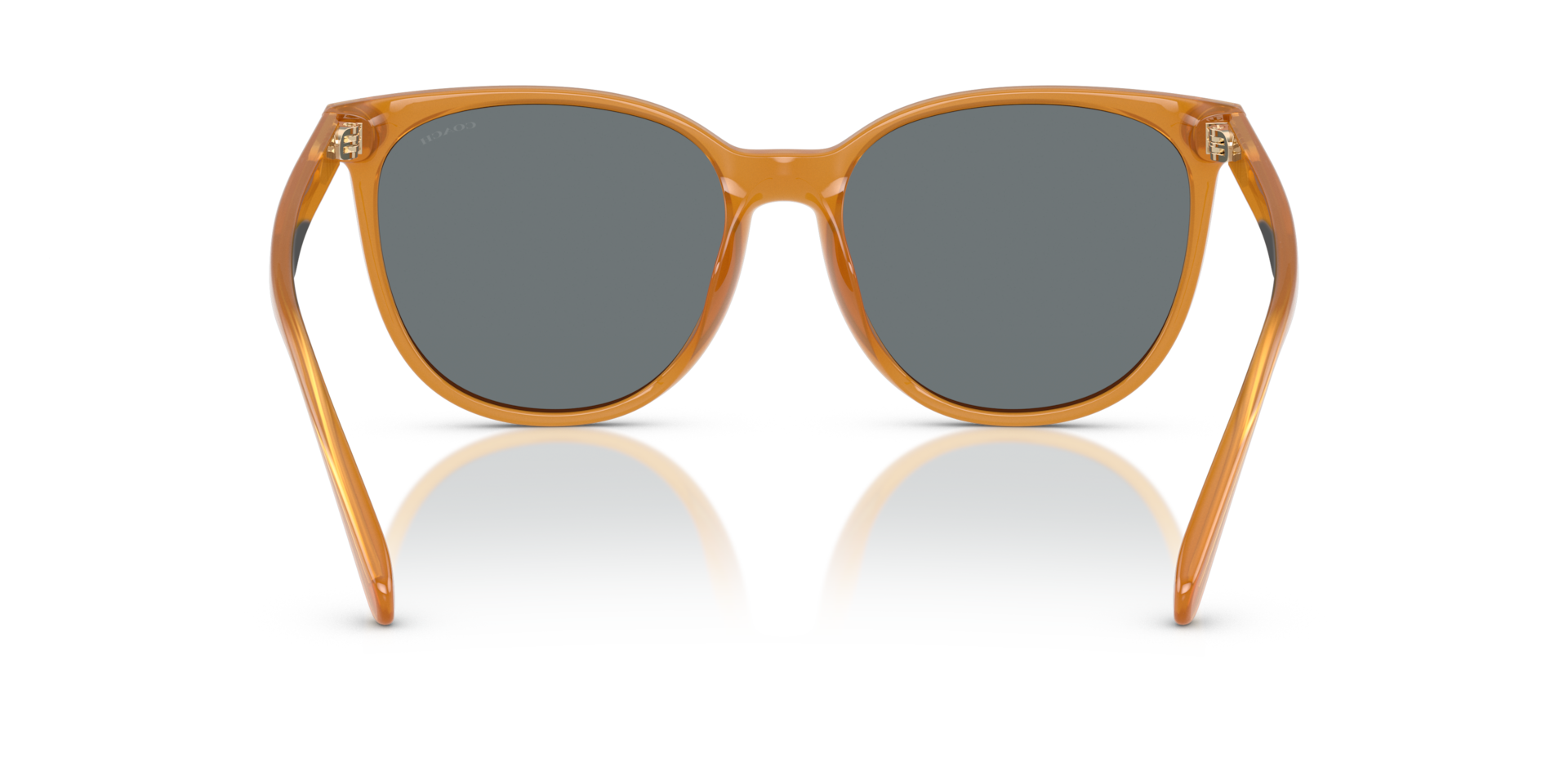 Coach HC8414BD CW428 Round Sunglasses - Milky Amber