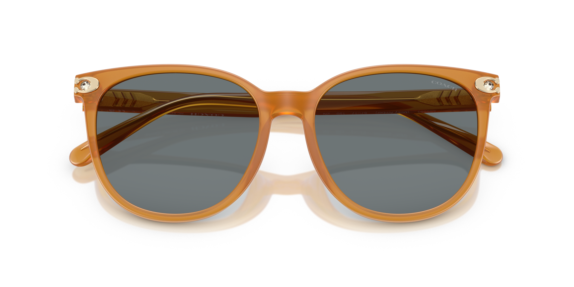 Coach HC8414BD CW428 Round Sunglasses - Milky Amber