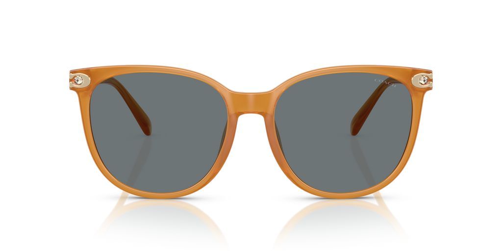 Coach HC8414BD CW428 Round Sunglasses - Milky Amber