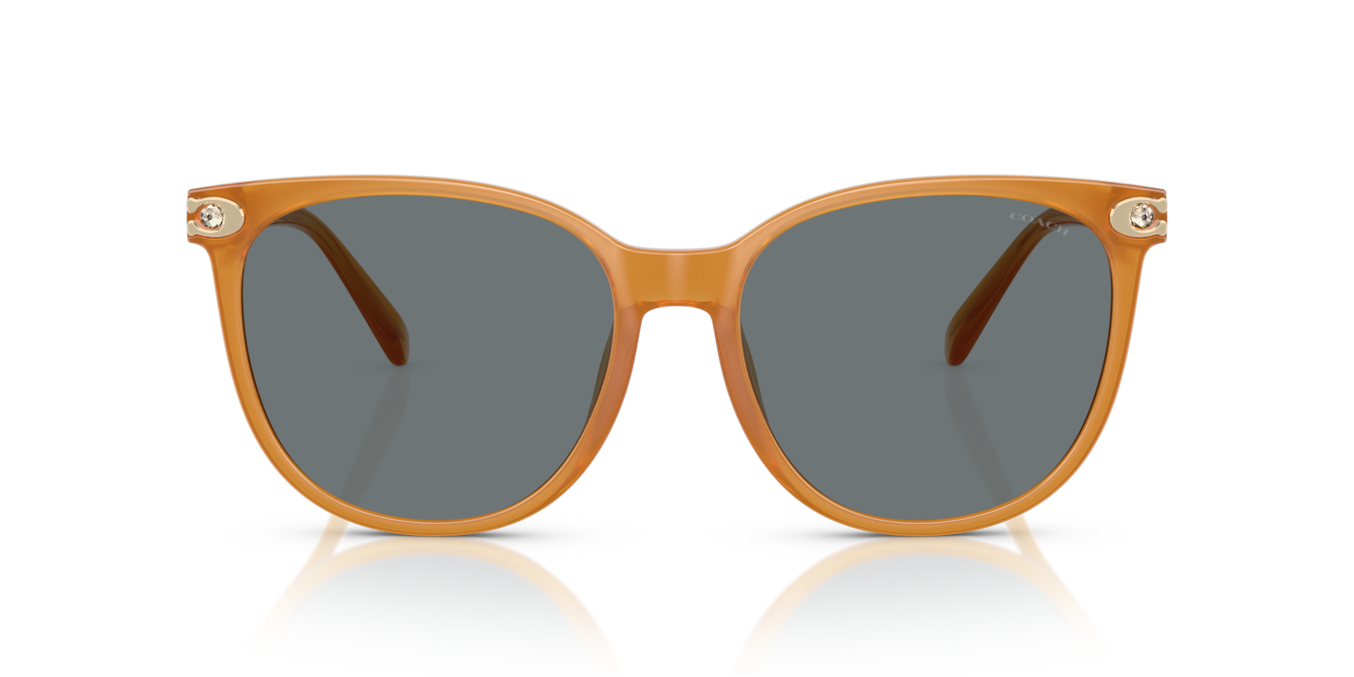 Coach HC8414BD CW428 Round Sunglasses - Milky Amber