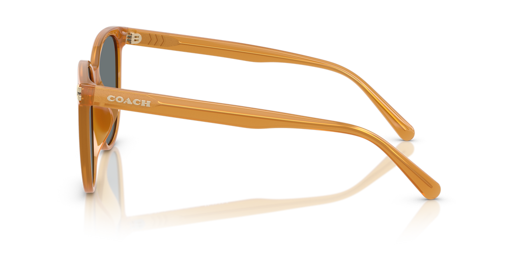 Coach HC8414BD CW428 Round Sunglasses - Milky Amber