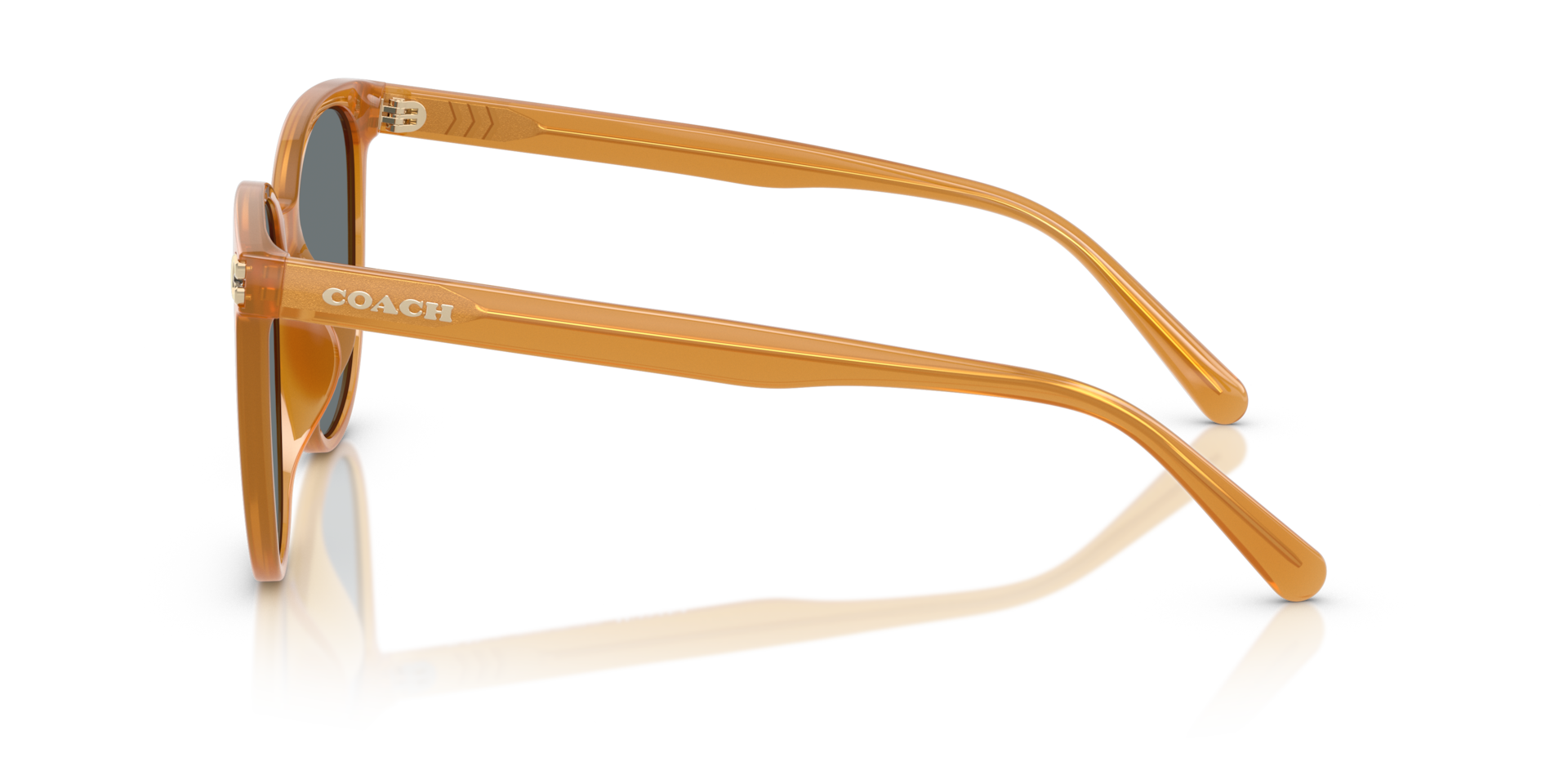 Coach HC8414BD CW428 Round Sunglasses - Milky Amber