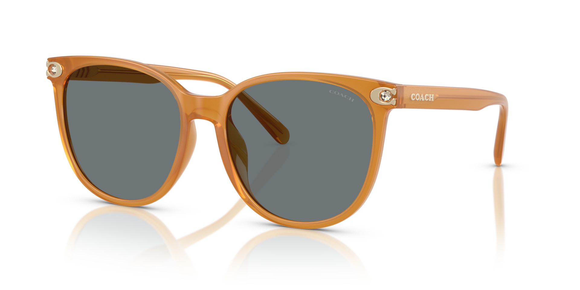 Coach HC8414BD CW428 Round Sunglasses - Milky Buff