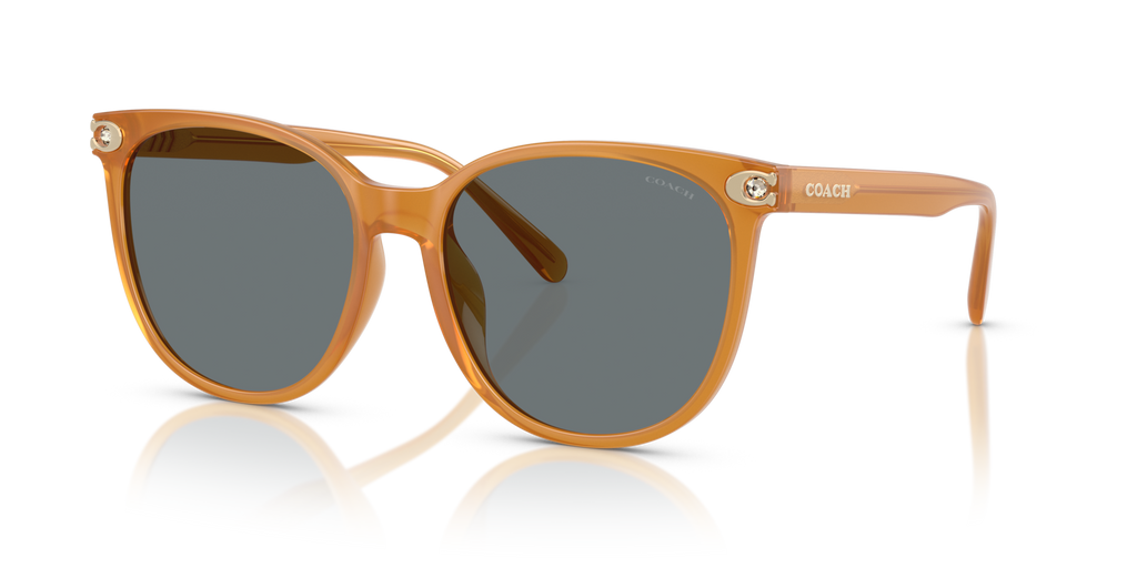 Coach HC8414BD CW428 Round Sunglasses - Milky Amber