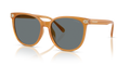 Coach HC8414BD CW428 Round Sunglasses - Milky Amber
