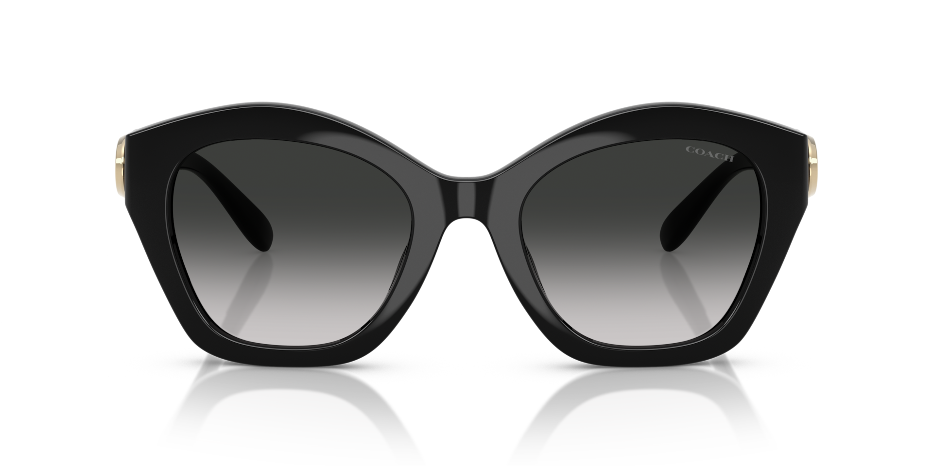 Coach HC8421U CAD31 Geometric Sunglasses - Black