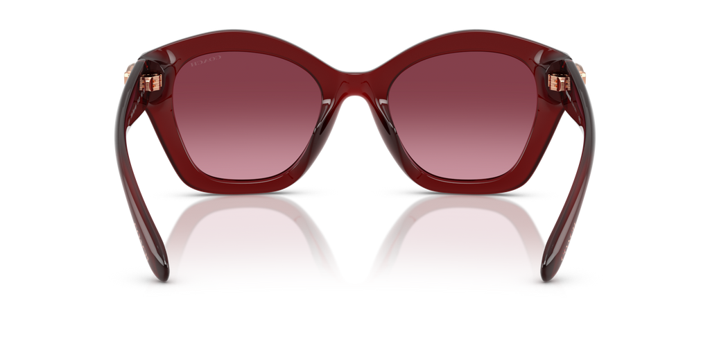 Coach HC8421U CAD31 Geometric Sunglasses - Black