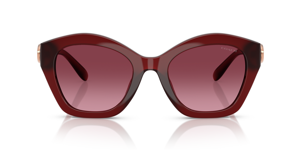 Coach HC8421U CAD31 Geometric Sunglasses - Black