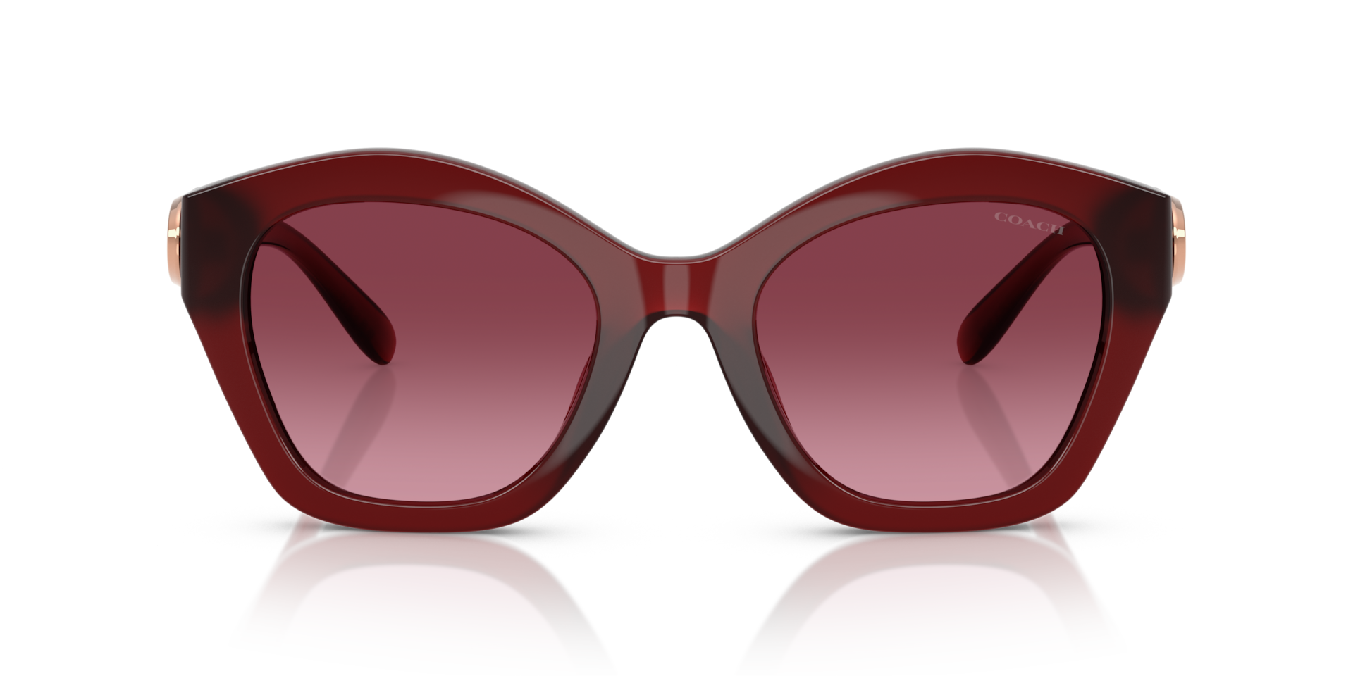 Coach HC8421U CAD31 Geometric Sunglasses - Milky Burgundy