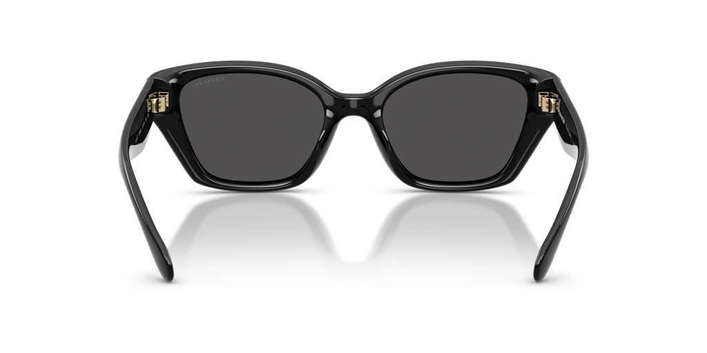 Coach HC8434U CBY91 Geometric Sunglasses - Black