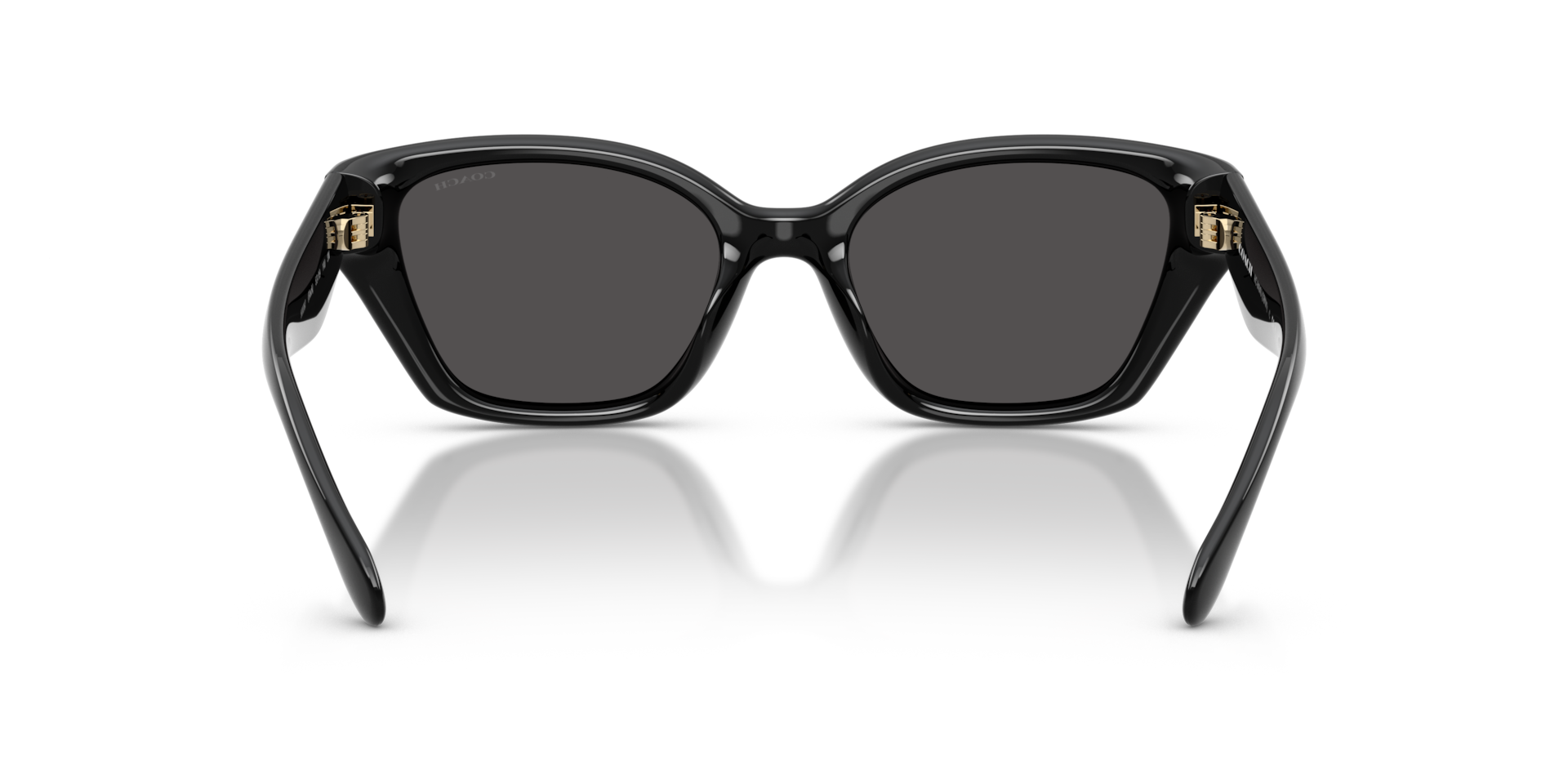 Coach HC8434U CBY91 Geometric Sunglasses - Black