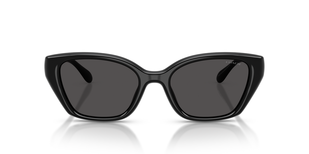 Coach HC8434U CBY91 Geometric Sunglasses - Black