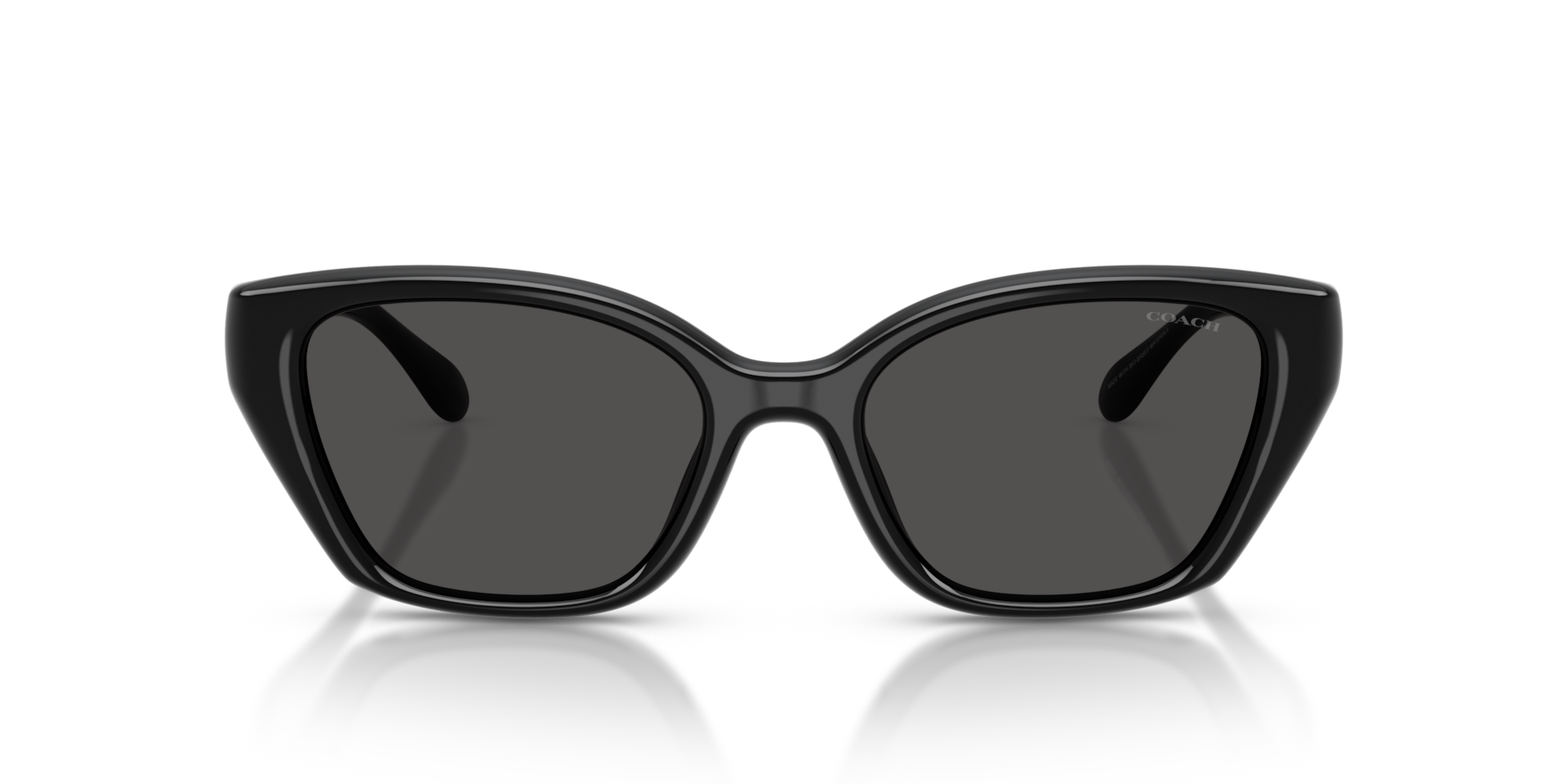 Coach HC8434U CBY91 Geometric Sunglasses - Black