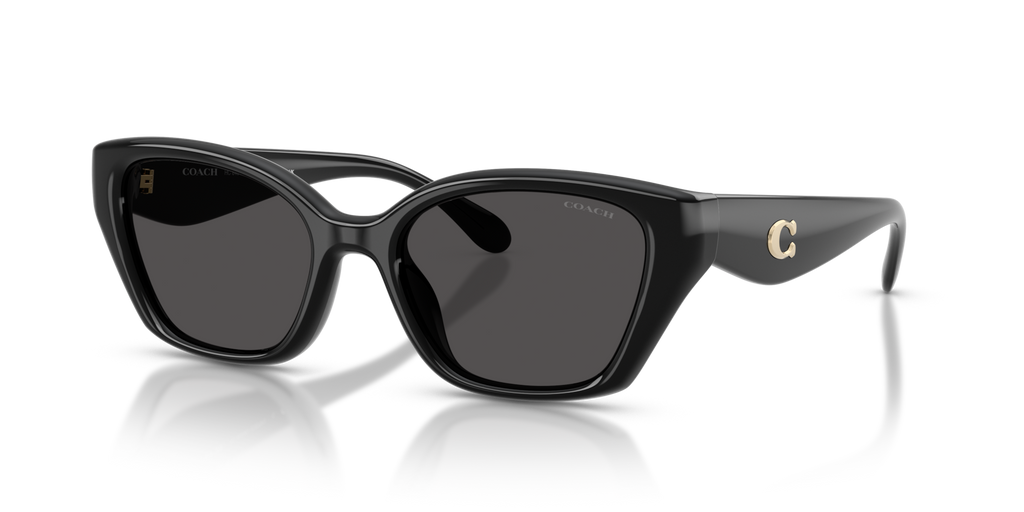 Coach HC8434U CBY91 Geometric Sunglasses - Black