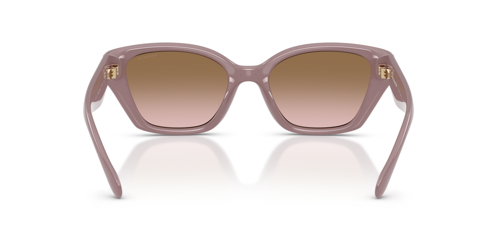 Coach HC8434U CBY91 Geometric Sunglasses - Black