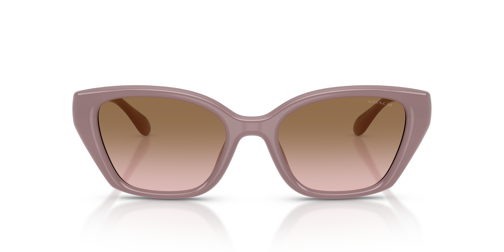Coach HC8434U CBY91 Geometric Sunglasses - Milky Putty