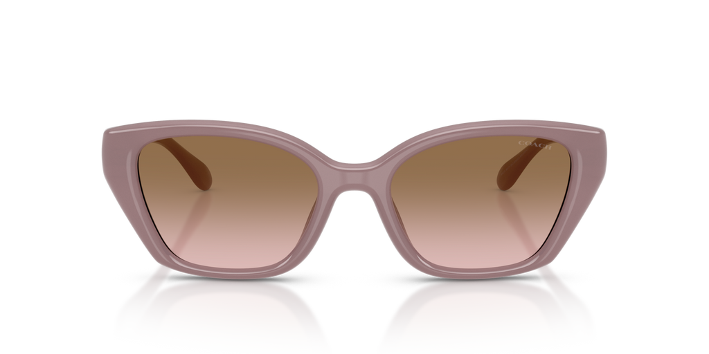 Coach HC8434U CBY91 Geometric Sunglasses - Black