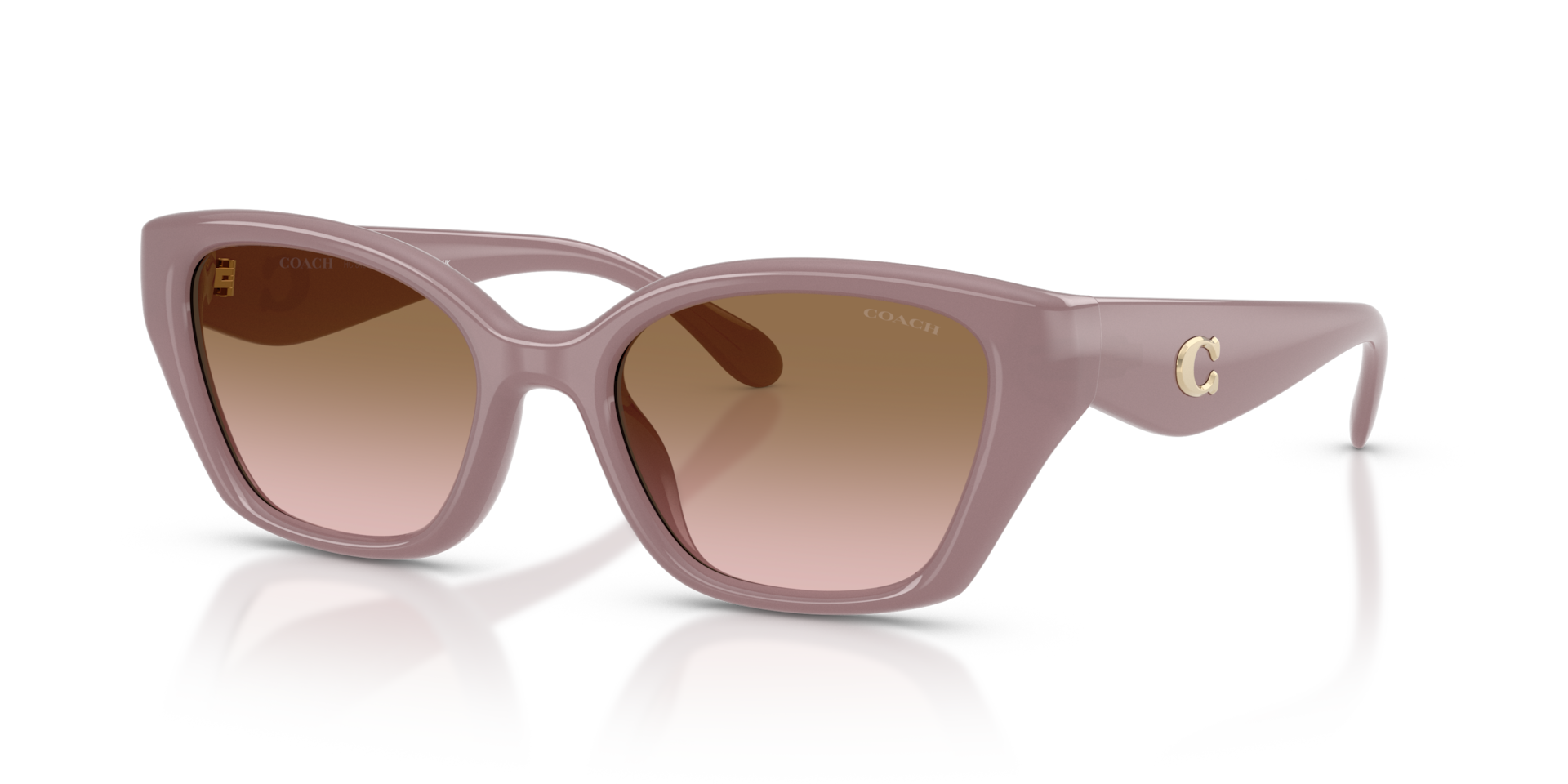 Coach HC8434U CBY91 Geometric Sunglasses - Black