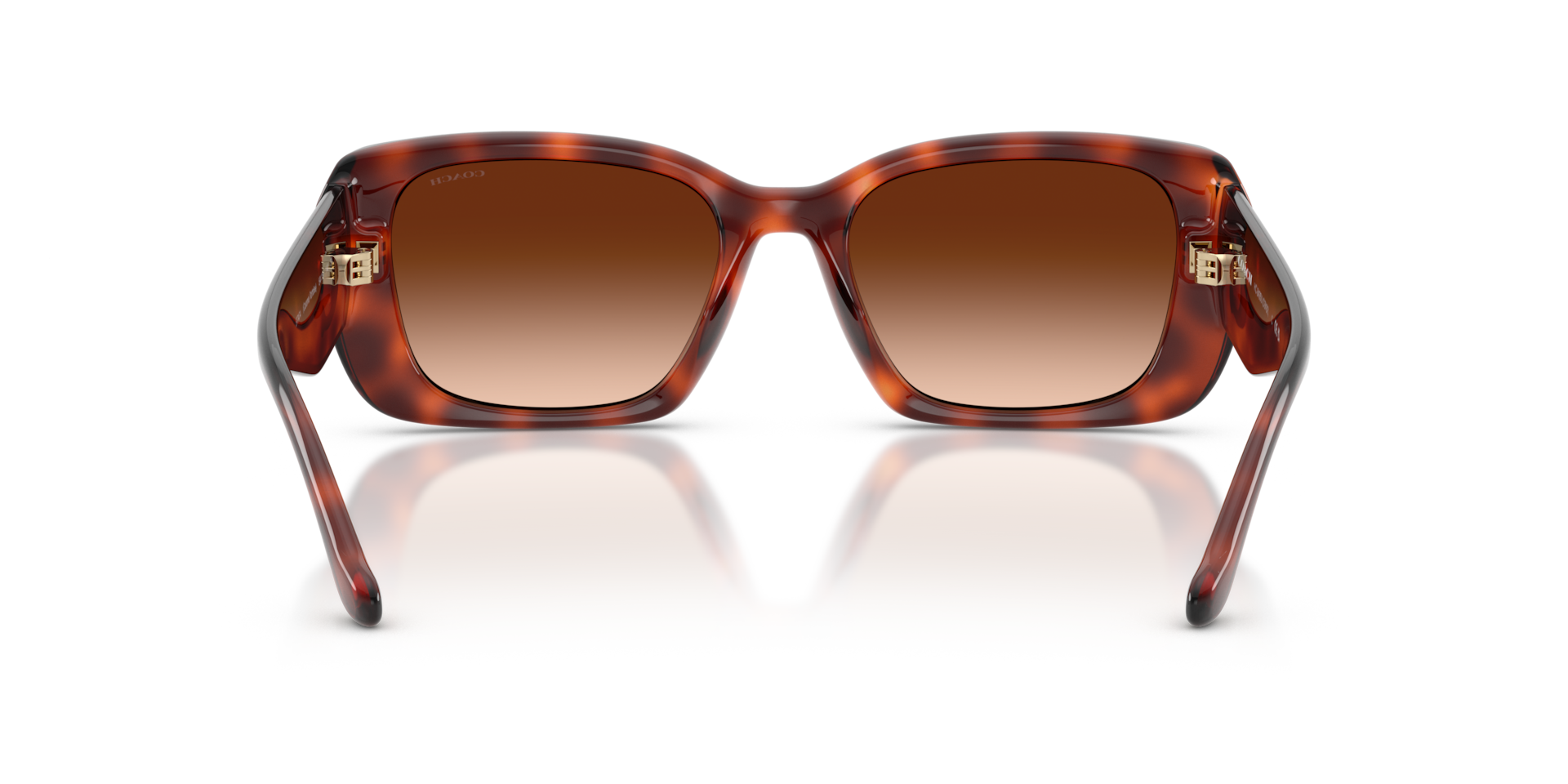 Coach HC8435U CBY82 Square Sunglasses - Milky Merlot