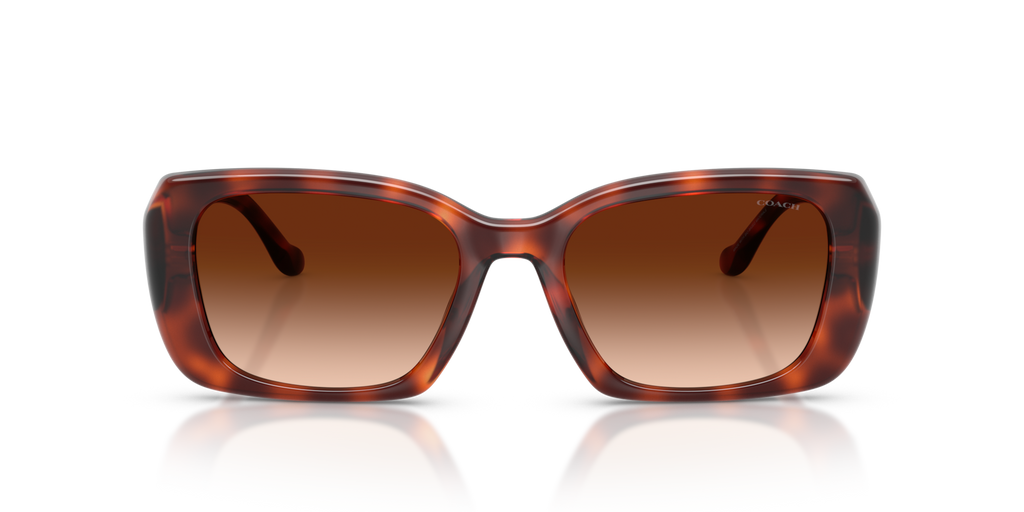 Coach HC8435U CBY82 Square Sunglasses - Caramel Tortoise