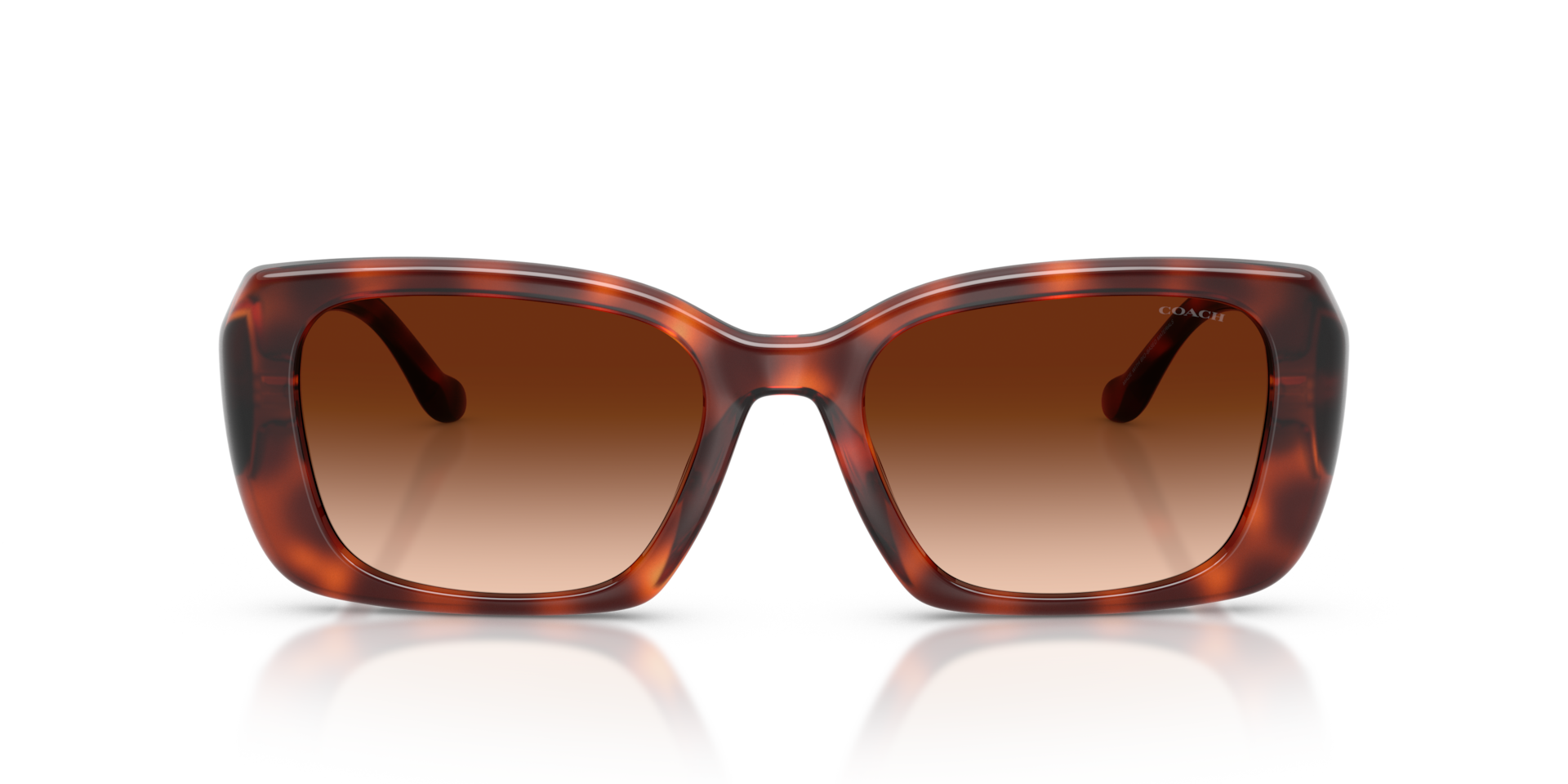 Coach HC8435U CBY82 Square Sunglasses - Caramel Tortoise