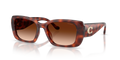 Coach HC8435U CBY82 Square Sunglasses - Caramel Tortoise