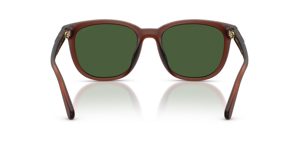 Coach HC8442U CCA00 Square Sunglasses - Matte Transparent Brown